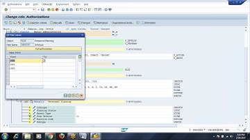 Day 8 - Org Fields, Auth Objects Status and  Expert Mode in SAP Security