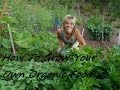How To Grow a FULLY Organic Vegetable Garden NOW