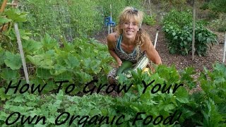 What does it mean to grow vegetables organically? So many of us gardeners want to be as orgaic and as natural as possible when 