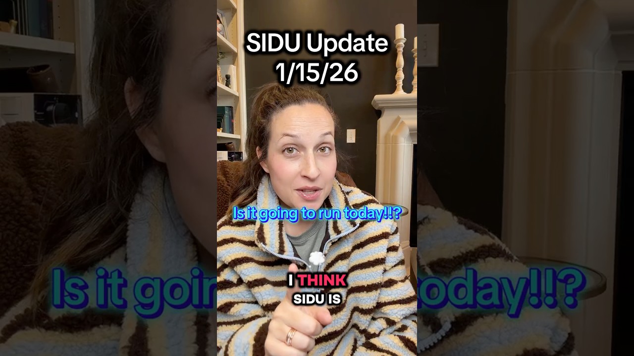 Акции этой небольшой компании могут резко вырасти | Анализ акций SIDU 