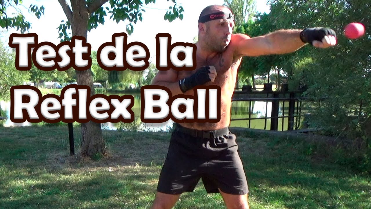 Test sport - Reflex ball - MMA Boxe - Augmenter sa vitesse de réaction, ses  réflexes - Punching Ball 