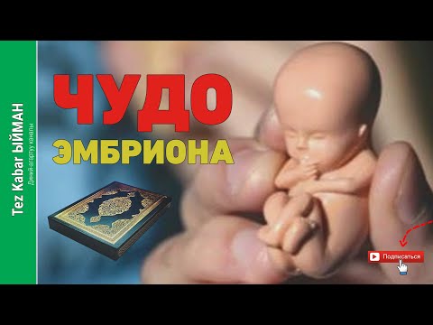 Video: Имброун деген сөз эмнени билдирет?