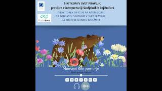 S KITKOM V SVET PRAVLJIC (125): Medved išče pestunjo