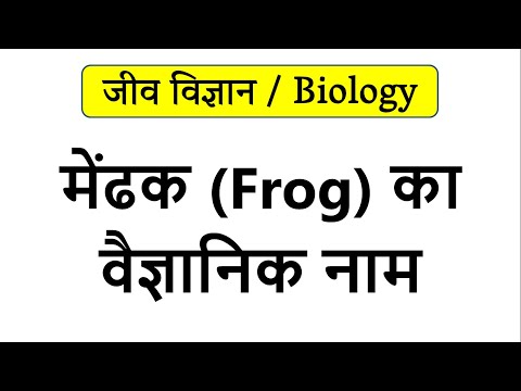 वीडियो: राना टिग्रीना किस जानवर का वैज्ञानिक नाम है?