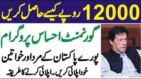 HOW TO ONLINE APPLY EHSAAS EMERGENCY CASH PROGRAM 2020 COMPLETE VIDEO  (8171)