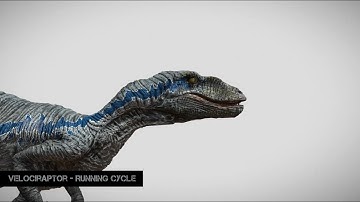 Velociraptor Running Cycle