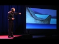 In the Beginning: The Origin & Purpose of Life | Dr. Bruce Damer | TEDxSantaCruz