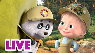 ? NA ŻYWO ☀? Drobne przygody ??Masza i Niedźwiedź ? Masha and the Bear LIVE