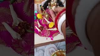 গোপাল সেবা ?? hare Krishna youtube viral youtubeshorts vlog krishna