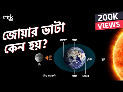 জোয়ার ভাটা কেন হয়? জোয়ার ভাটার বৈজ্ঞানিক ব্যাখ্যা কী? | Tide | Think Bangla