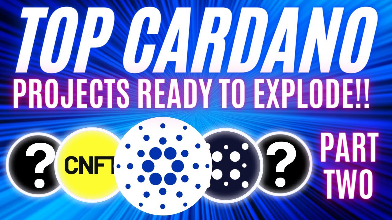 Top 5 Cardano Projects After Alonzo Upgrade (Part 2) - Cryptocurrency News  - Altcoin Buzz