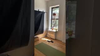 286 South 2nd apt 2E