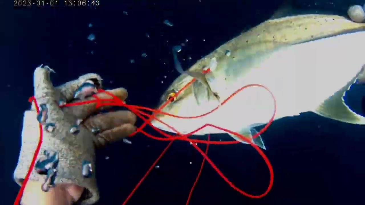 trevallys sa Malabo na spot