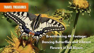 Breathtaking 4K Footage: Dancing Butterflies and Vibrant Flowers in Full Bloom
