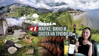 ИТАЛИЯ ᛫ Любимый регион папы Римского • Охота на черный трюфель • Аренда авто в Италии • Марке ИТАЛИЯ ᛫ Любимый регион папы Римского • Охота на черный трюфель • Аренда авто в Италии • Марке