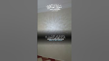 سورة العنكبوت القارئ احمد النفيس #القرآن_الكريم #المغرب_الجزائر #لايك #اعتني #ترند #اكسبلور