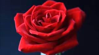 X JAPAN foerever love tears without you ピアノメドレー 他にも、オー...