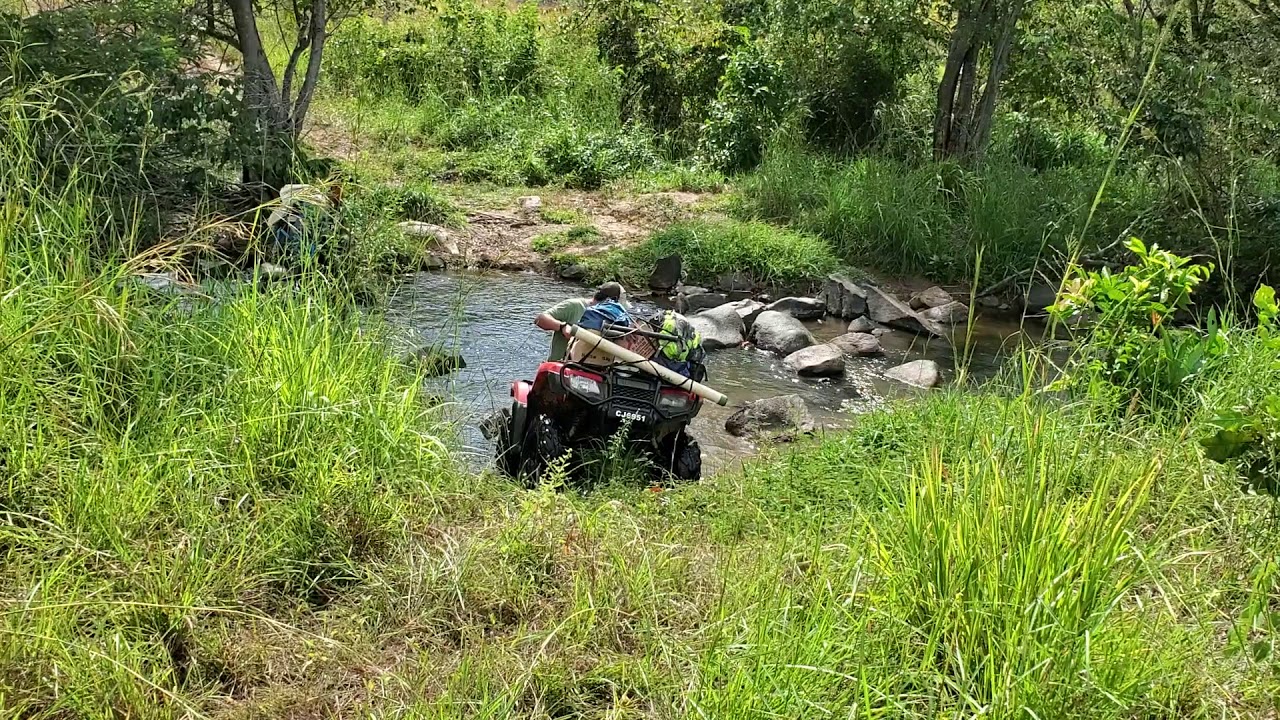 Parakeet Ranger Parakeet Rangers in Guyana: Crossing Creeks - YouTube