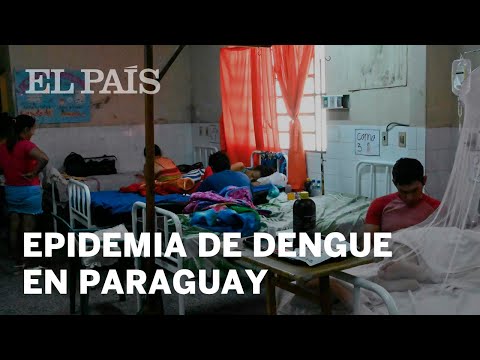 Vídeo: Secuenciación Del Genoma Completo Y Variaciones Genéticas En Varias Cepas De Virus Dengue Tipo 1 De La Epidemia Inusual De Dengue De En Vietnam
