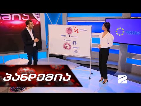 პანდემია - 17 აპრილი, 2020 წელი