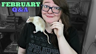 Rotten Rats & Lazy Hedgehogs || FEBRUARY Q&A by Tori Lynn 3,288 views 5 years ago 13 minutes, 41 seconds