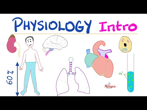 Video: Wie is een menselijke fysiologie?