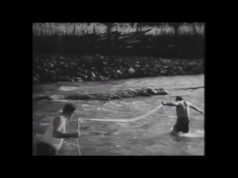 \"რეკორდი\" - მანძილის გაზომვა (rekordi)