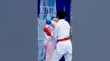 Skills Mr Karate 