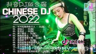 Chinese Dj Remix 2024「2024最火歌曲DJ」慢搖【可可托海的牧羊人〤寂寞的城傷心的人〤你莫走 〤别知己dj〤酒干倘卖】2024全中文舞曲串烧 - 2024 年最劲爆的DJ歌曲