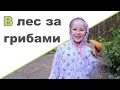 ЗА ГРИБАМИ С БАБУШКОЙ И ДЕДУШКОЙ ♥ Природа Урала