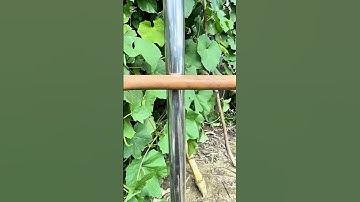 How to Tie a Secure Square Lashing Knot | Rope Knot for Poles & Gardening