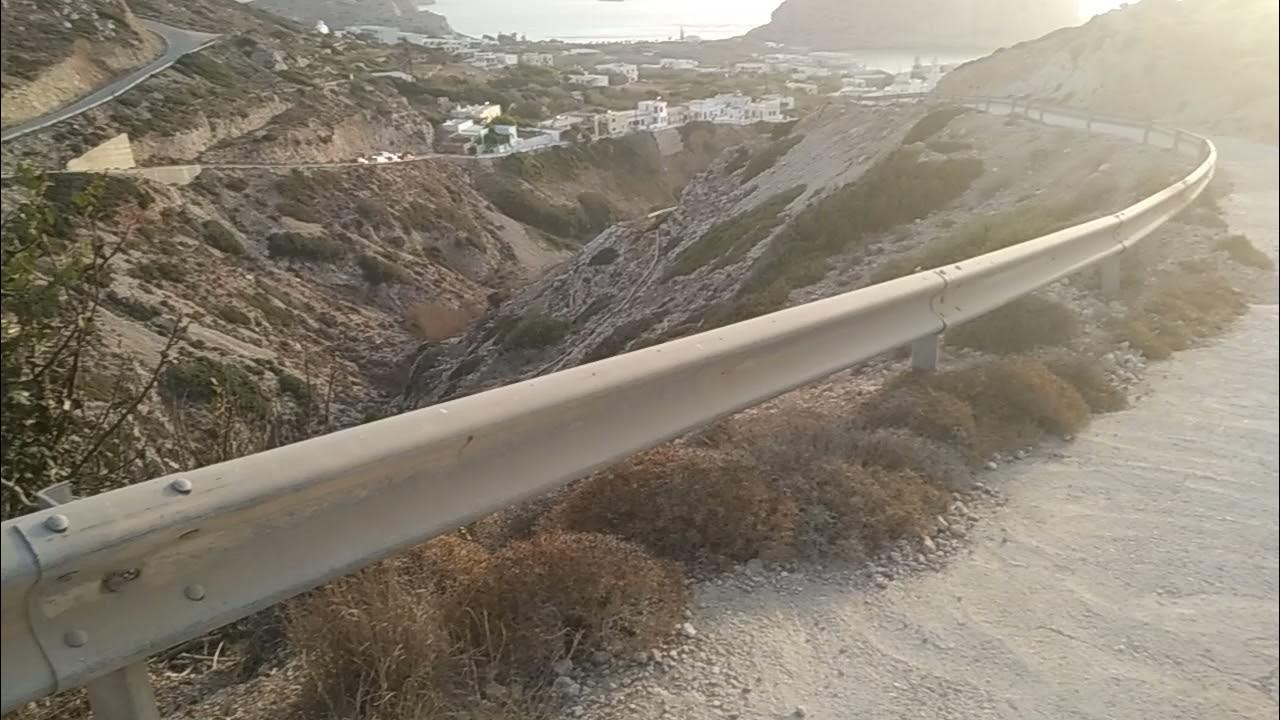Carob tree on a hillside in a dryland climate (Ceratonia siliqua) YouTube