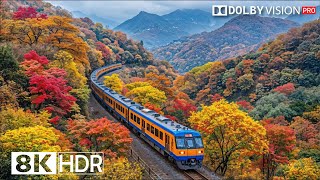 Amazing Places 8K HDR - 8K Video ULTRA HD 120fps | Dolby Vision