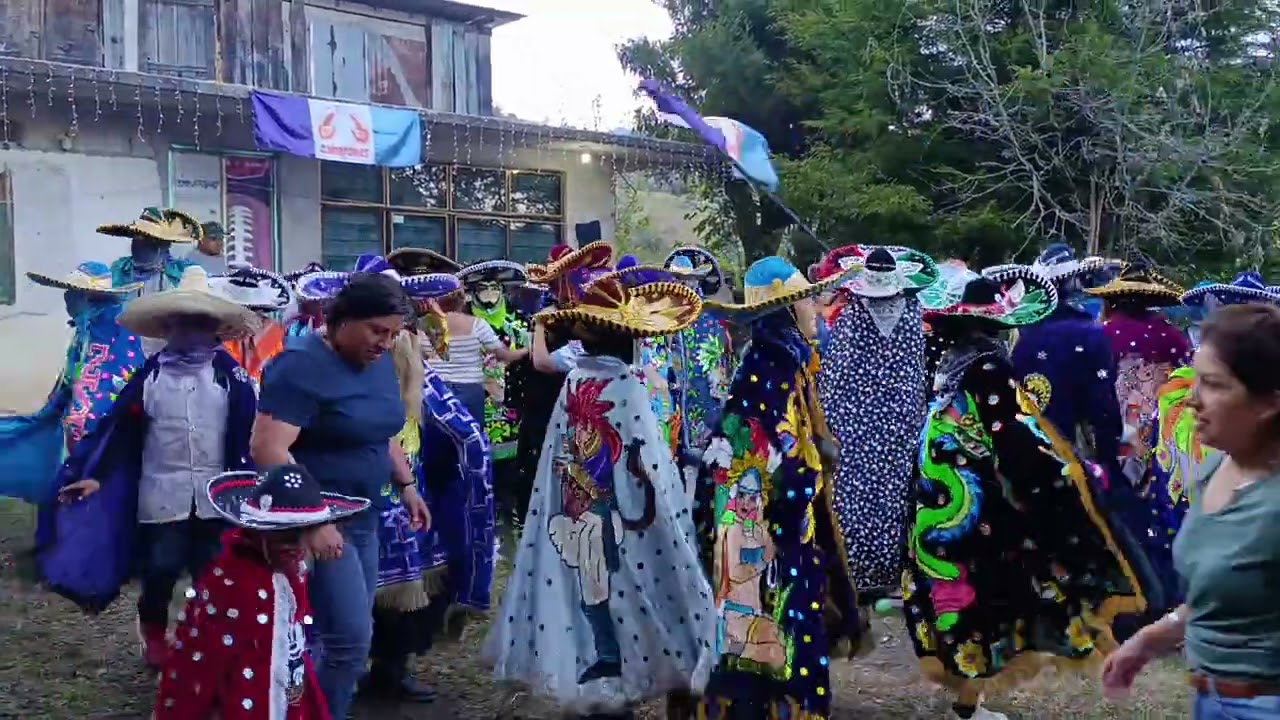 Carnaval camarones 2026 Comida Martes 