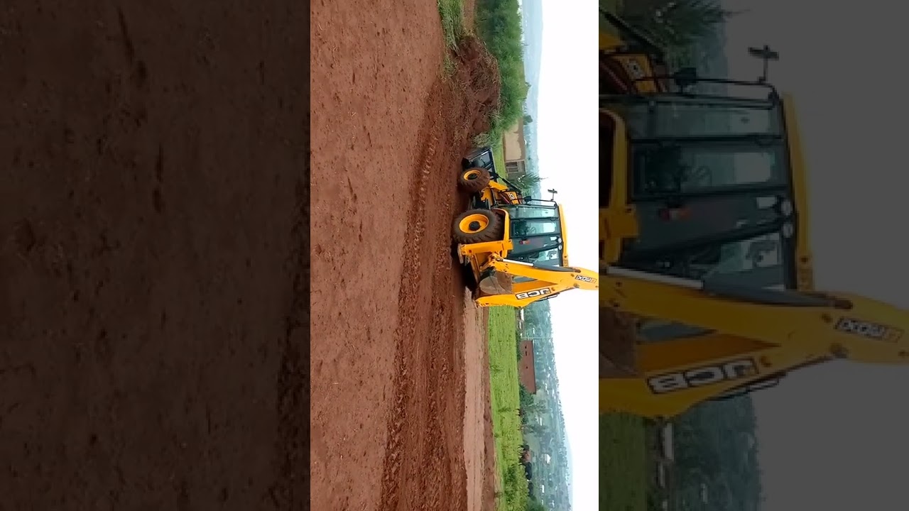 spiders and termites construction on site preparation with eathmoving