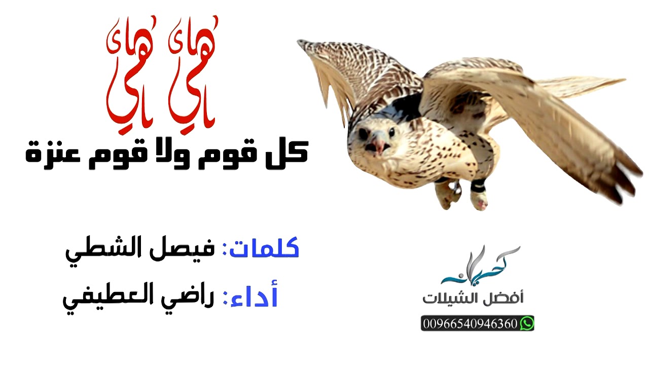 شيلة هي هي كل قوم ولا قوم عنزة | أداء راضي العطيفي | 2018