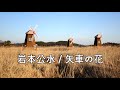 岩本公水 / 矢車の花