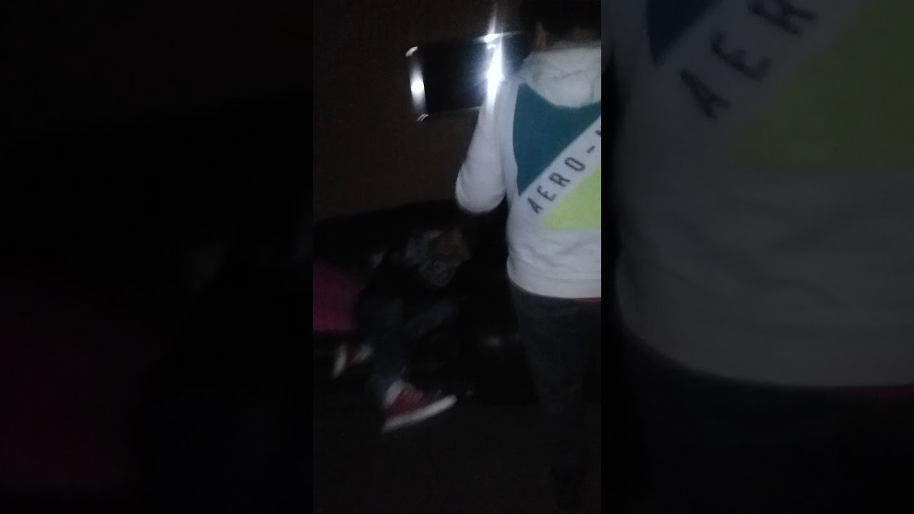 Dogs Nut sack on the face YouTube