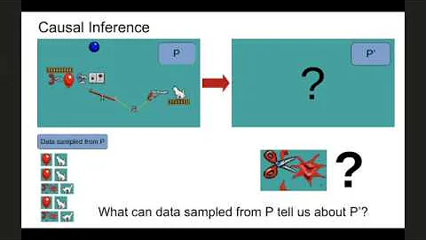 Causal Inference with Bayes rule with Finnian Latt...