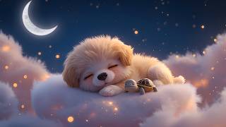 Adorable Puppy Sleeping Soundly | Stress Relief Music screenshot 5