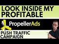 My First Profitable Propellerads Push Traffic Campaign [CPA Marketing]