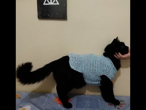 COMO FAZER ROUPA PARA PET DE CROCHÊ (PASSO A PASSO)