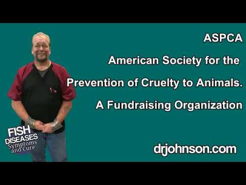 هل aspca هو نفس المجتمع الإنساني؟