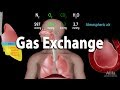 Mastering Gas Exchange in the Respiratory System