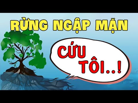 Video: Rừng ngập mặn là sự sáng tạo độc đáo của thiên nhiên