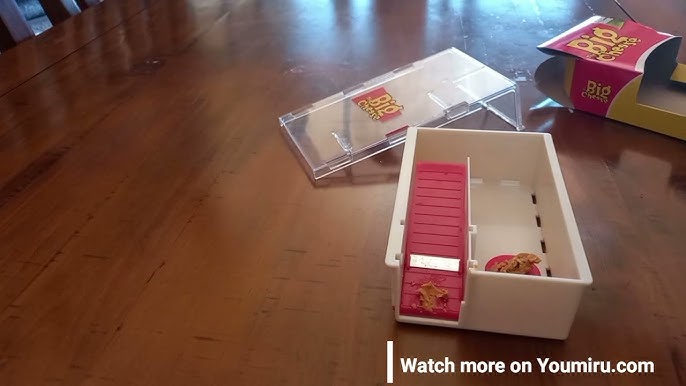 The BIG CHEESE Live Catch Mouse Trap In Action With Motion Cameras 