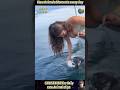 Cute and Rare Animal Clips Compilation Moments That Melt Your Heart!