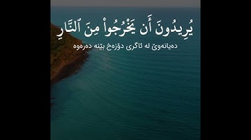 سورة المائدة (الآية ٣٥ - ٣٩) القارئ ادريس ابكر