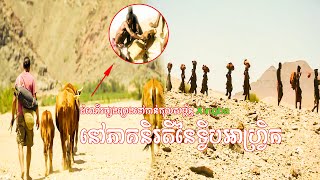 ដណរផសងពរងទកនកលសមពនធ Xingba នភគនរតនទវបអហវរក