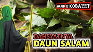 DAUNNYA NABI KHIDIR ❗ Taruh 3 Lembar Kalau Berani ! Khasiat Daun Salam Di Bawah bantal